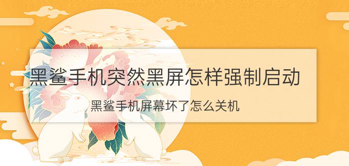 黑鲨手机突然黑屏怎样强制启动 黑鲨手机屏幕坏了怎么关机？